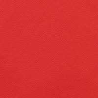 Rexine company sample image #3