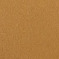 Rexine company sample image #5