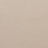 Rexine company sample image #6