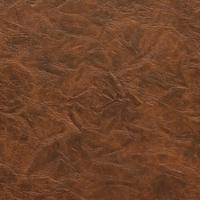 Rexine company sample image #3