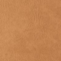 Rexine company sample image #5