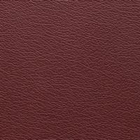 Rexine company sample image #1