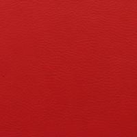 Rexine company sample image #9