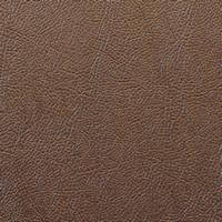 Rexine company sample image #7