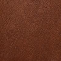 Rexine company sample image #2