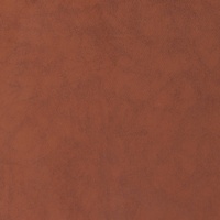 Rexine company sample image #6