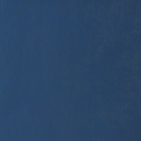 Rexine company sample image #1