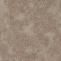 Rexine company sample image #2