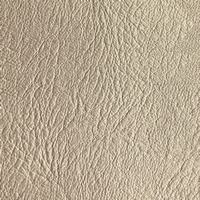 Rexine company sample image #1