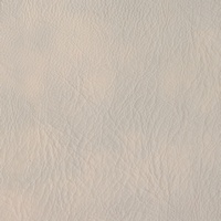 Rexine company sample image #7