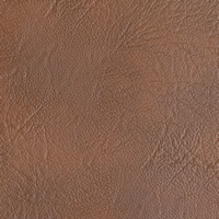 Rexine company sample image #2