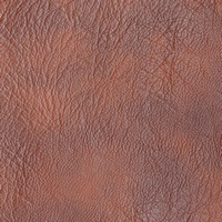 Rexine company sample image #4