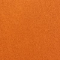 Rexine company sample image #3