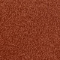 Rexine company sample image #7