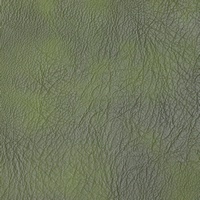 Rexine company sample image #10