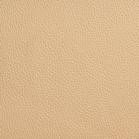 Rexine company sample image #5