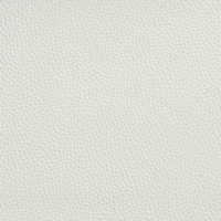 Rexine company sample image #7