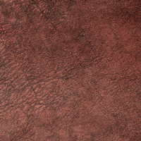 Rexine company sample image #4