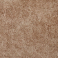 Rexine company sample image #1