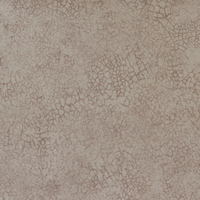 Rexine company sample image #2