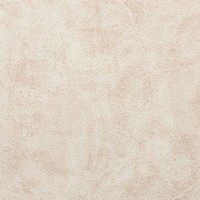 Rexine company sample image #8