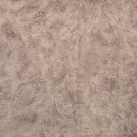 Rexine company sample image #7