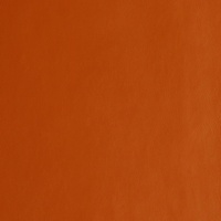 Rexine company sample image #7