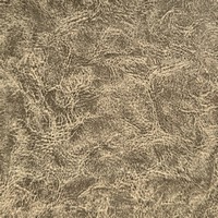 Rexine company sample image #7