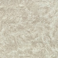 Rexine company sample image #4